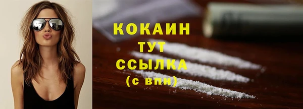 стаф Баксан