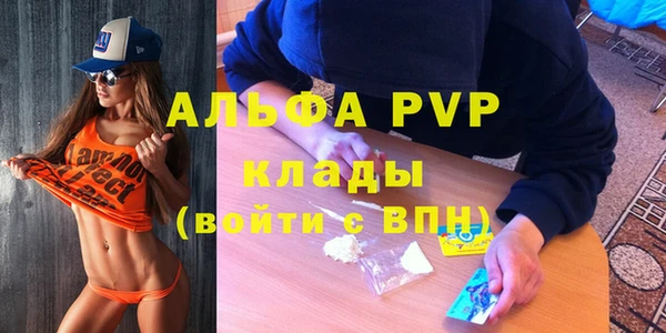 стаф Баксан